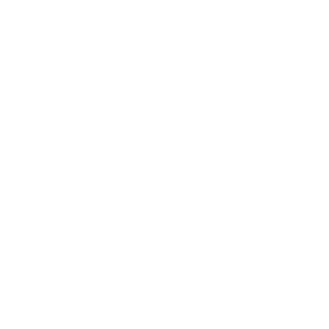 The Center for Equus Coaching Certified Master Facilitator Seal